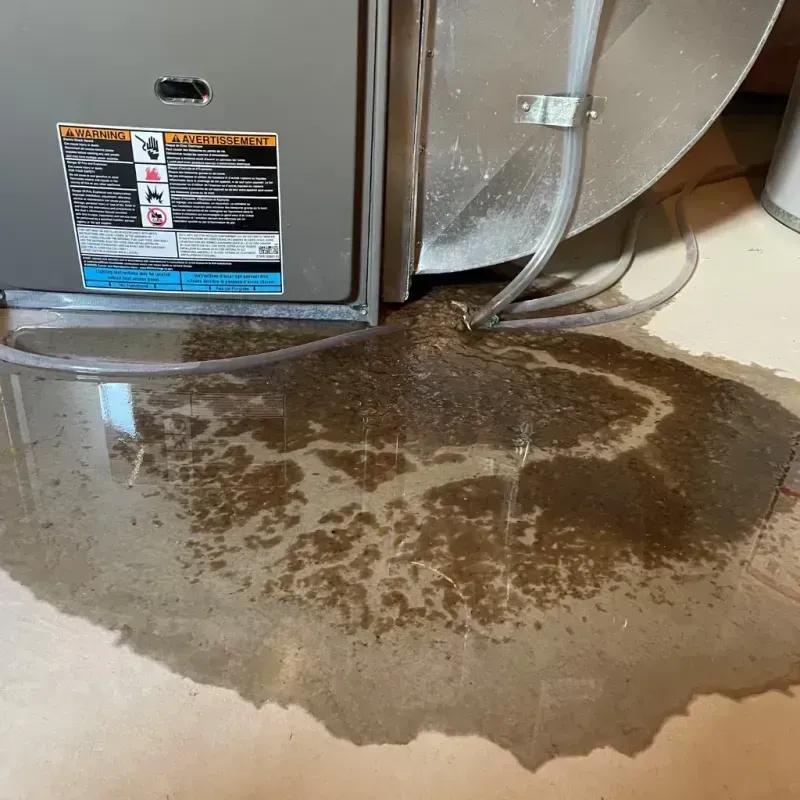 Appliance Leak Cleanup in Stanton, ND